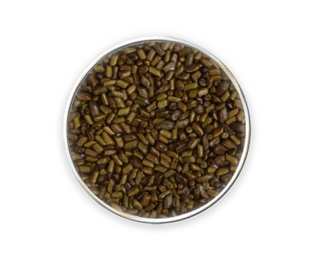 Cassia Seed Exporter India