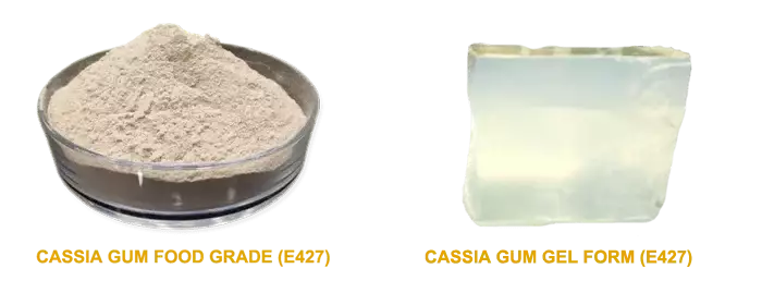Cassia Gum e427 Powder & Gel Form