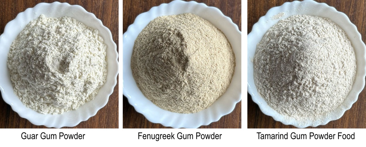 India is the world's largest producers of Cassia Gum Powder